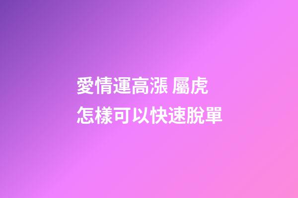愛情運高漲 屬虎怎樣可以快速脫單